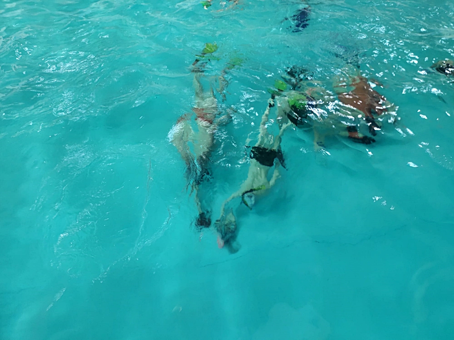 Hokej pod wodą Walenie Siemianowice Śląskie Trening 18 III 2023